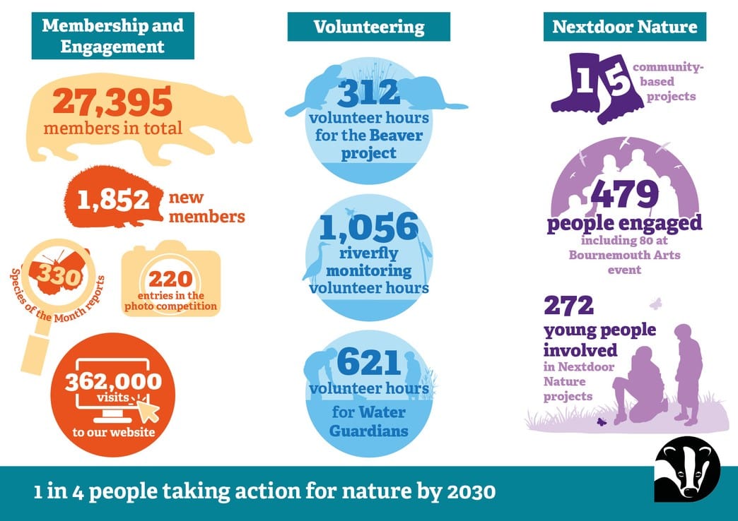 An infographic depicting stats of how the Dorset Wildlife Trust helps nature and the community