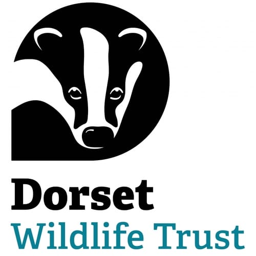 Dorset Wildlife Trust logo