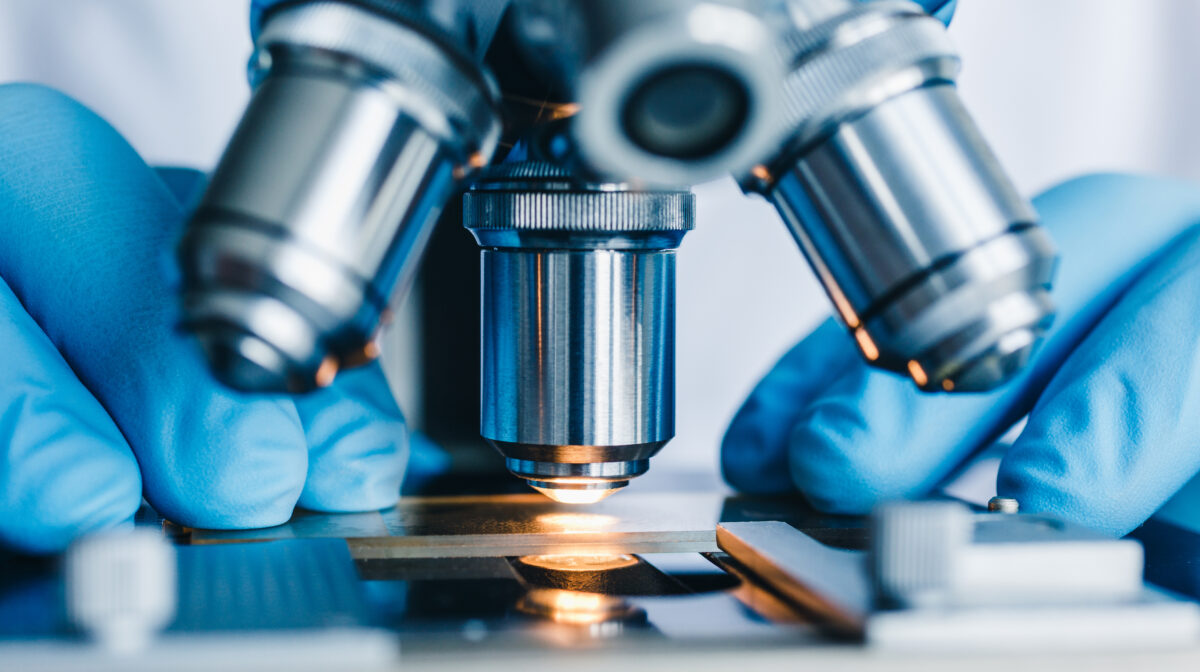 Microscope and sample