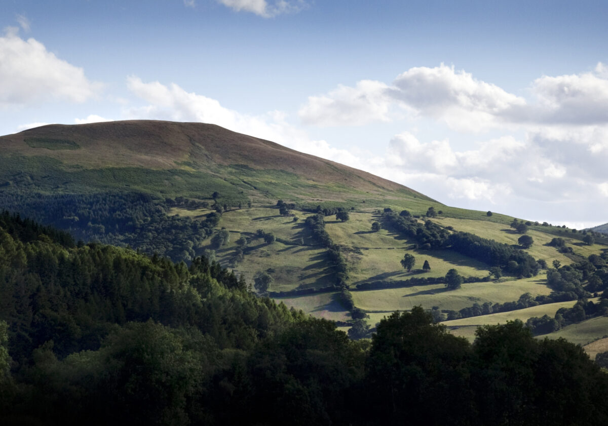 A Welsh hill in the sunshine