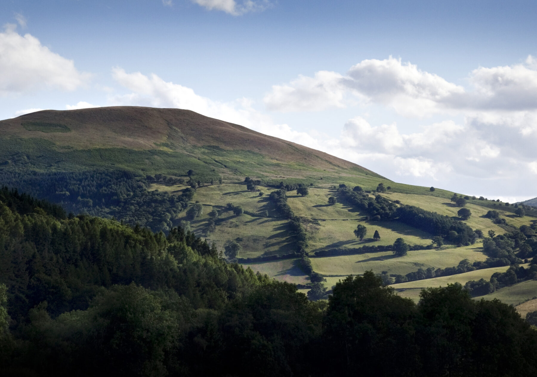 A Welsh hill in the sunshine