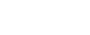 Towson Logo
